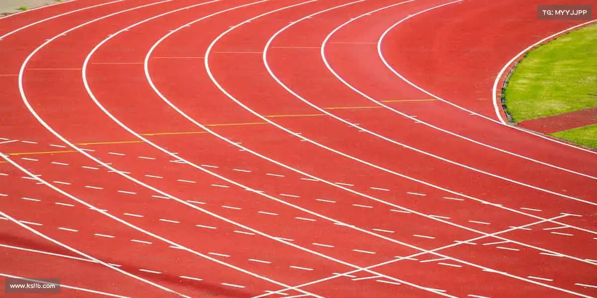 我们的核心竞争力